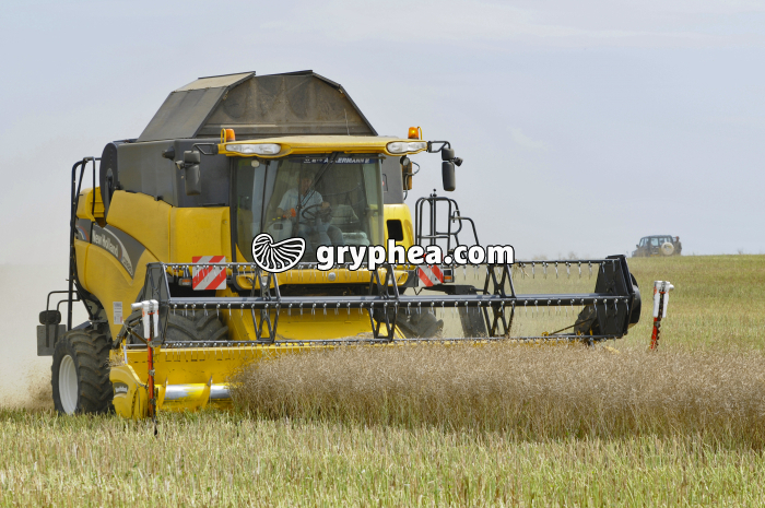 Moisson du Colza - gryphea.org